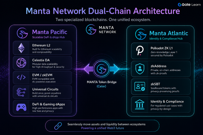 Manta Pacific and Manta Atlantic dual-chain architecture division diagram