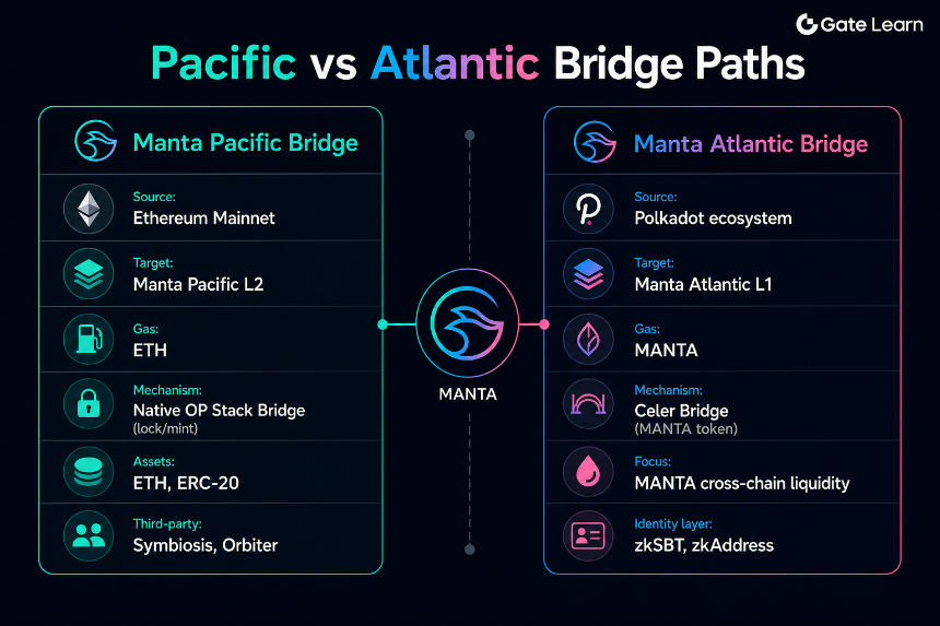 Manta Pacific bridge vs Manta Atlantic bridge path comparison