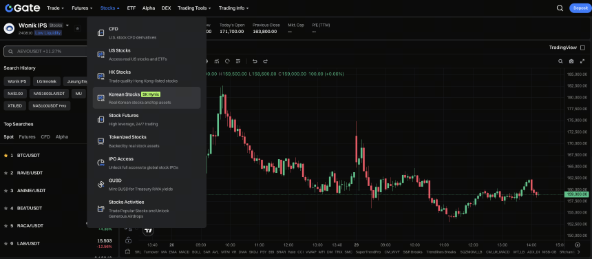在 Gate 投资 Wonik IPS 的交易路径与结构解析