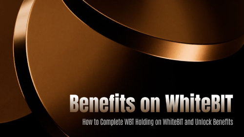 如何在 WhiteBIT 完成 WBT Holding 并获取权益?