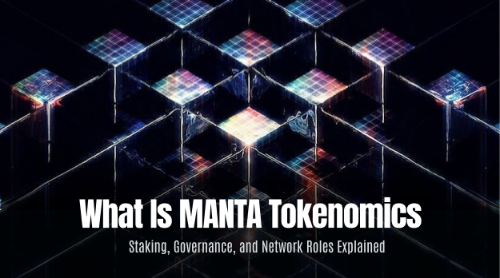 MANTA 代币经济学是什么?质押、治理与网络角色全解析