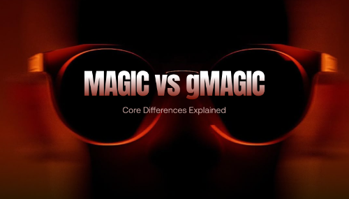 Treasure Network 的 MAGIC 与 gMAGIC 核心解析