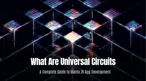 Universal Circuits 是什么?Manta ZK 应用开发机制全解析
