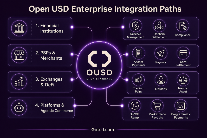 Open USD enterprise integration paths by role for financial institutions PSPs exchanges and platforms